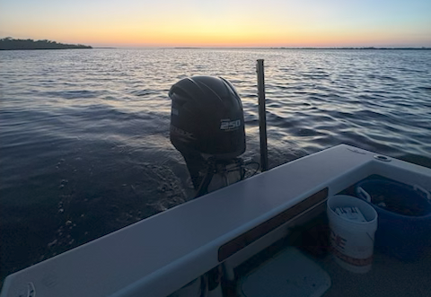 Following the Fish: Why the Best Bradenton Charters Move with the Seasons