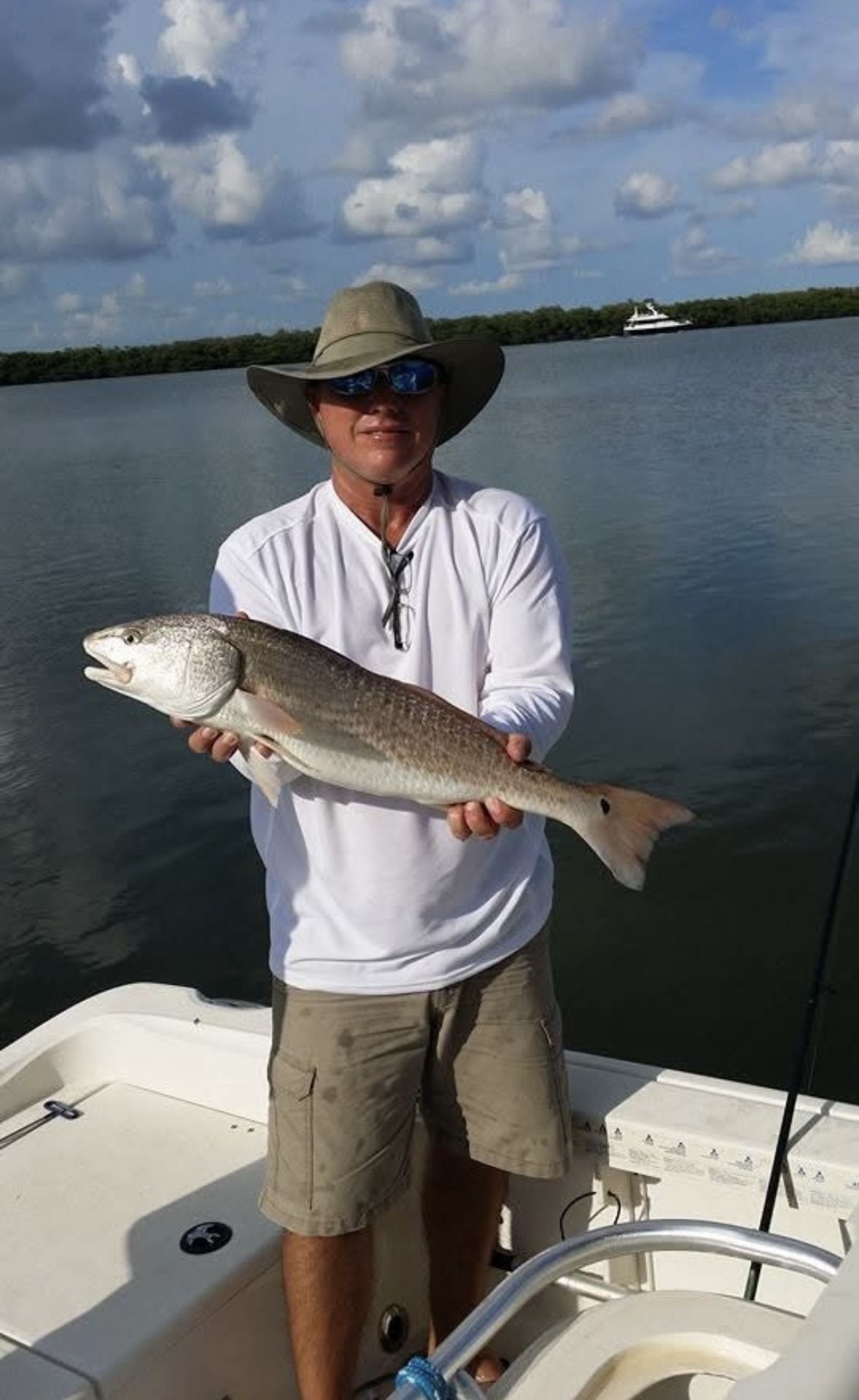 Redfish caught in Tampa Bay