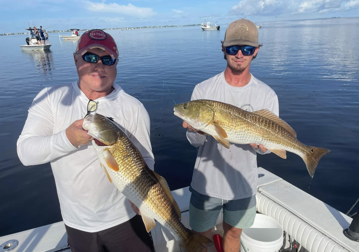 Redfish caught in Sarasota Bay