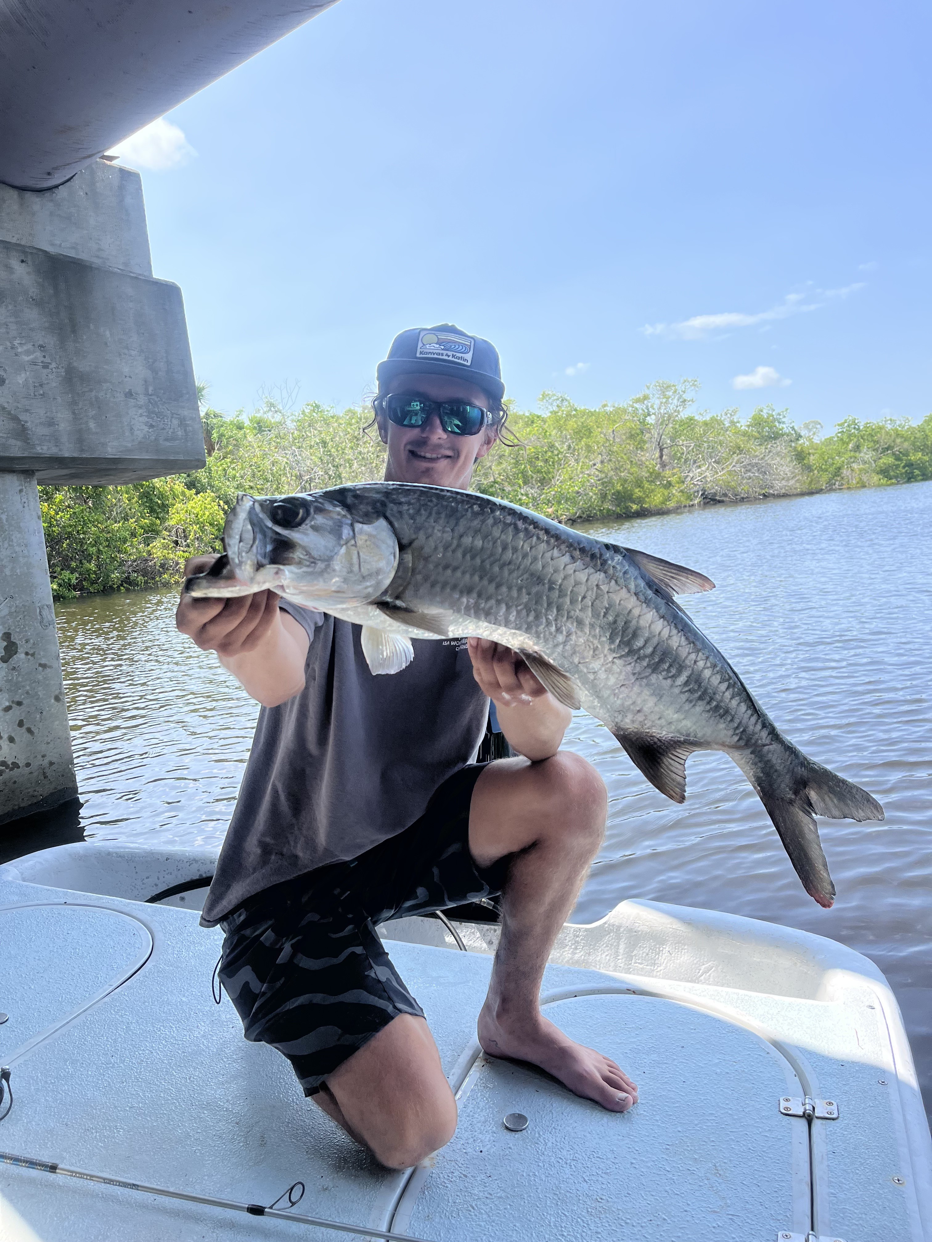 Tarpon caught in Manatee River