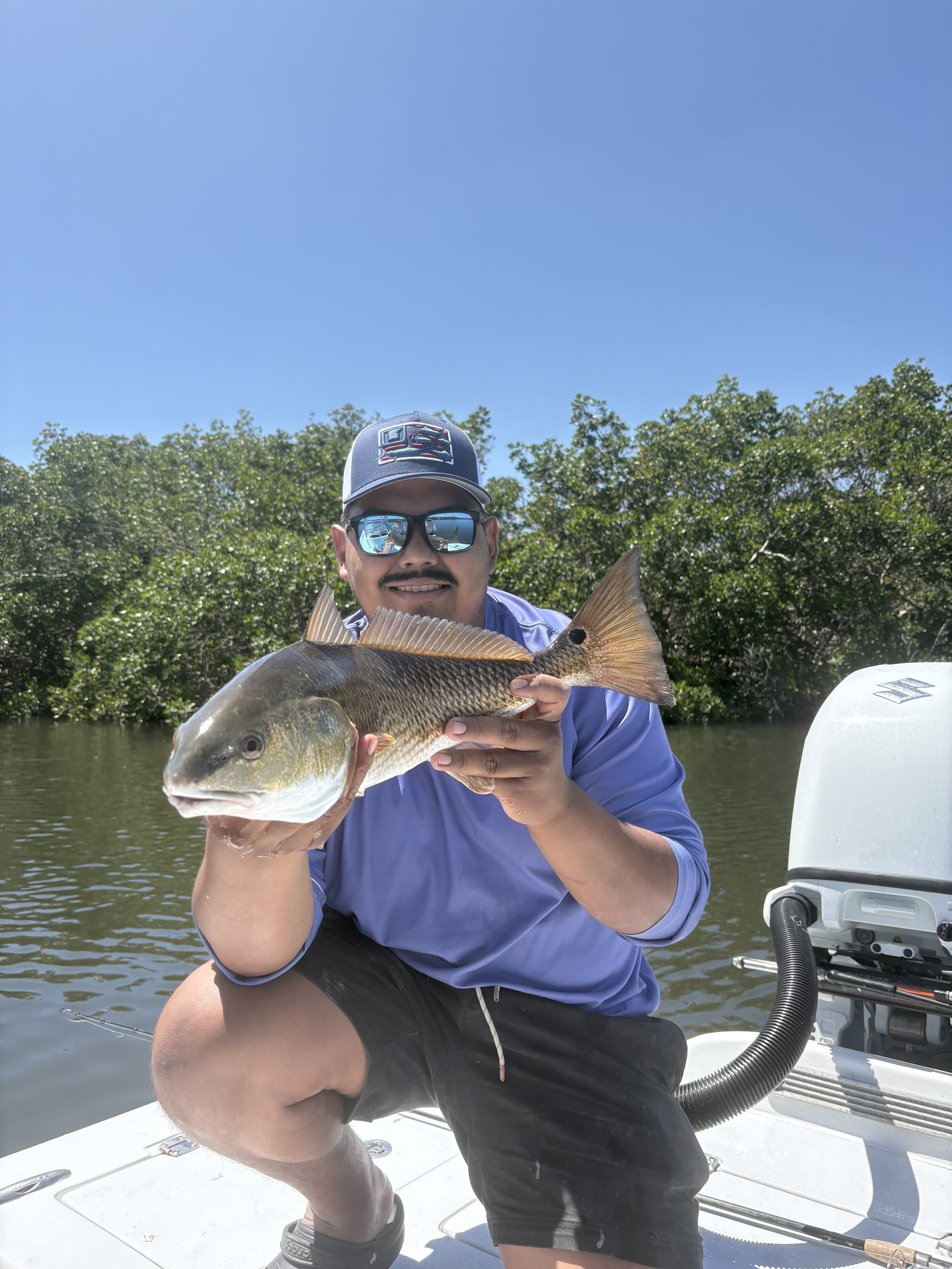 Large redfish being released in shallow Manatee River creek