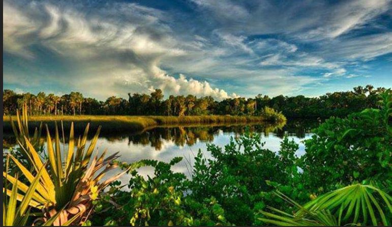 Manatee River backcountry fishing with mangrove shorelines and pristine waters near Bradenton Florida