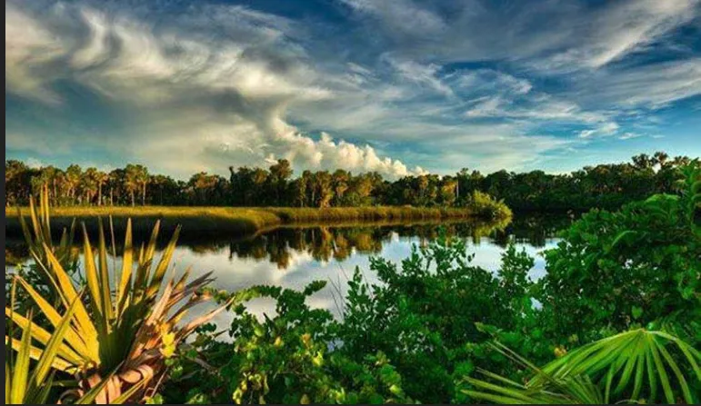 Manatee River backcountry fishing with mangrove shorelines and pristine waters near Bradenton Florida